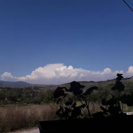 Kraljica Dujmovica Landsted *