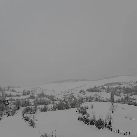 Kraljica Dujmovica Landsted