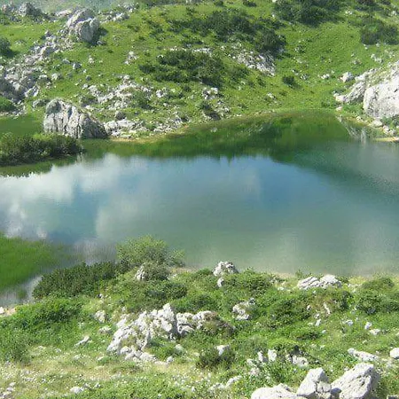 Kraljica Dujmovica *